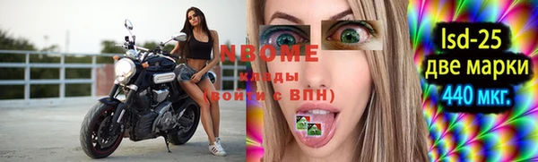 винт Алзамай