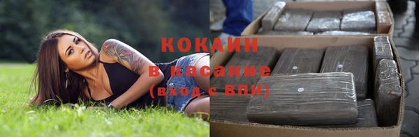 винт Алзамай