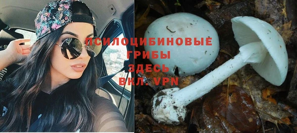 гидропоника Алексеевка