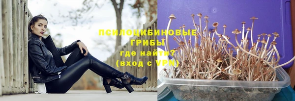сатива Алексин